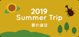 Summer Trip