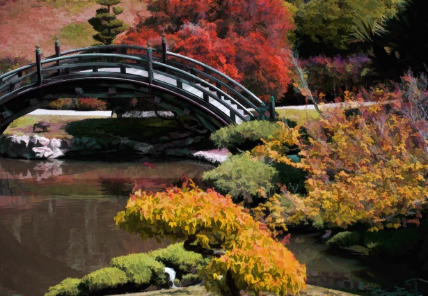 koyo japan garden autumn fall