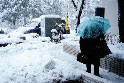 winter in tokyo, flickr